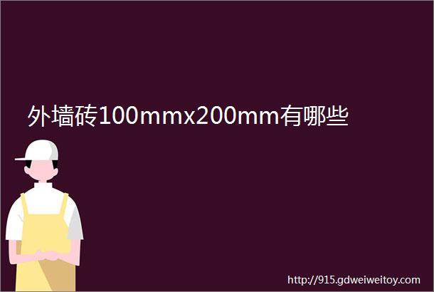 外墙砖100mmx200mm有哪些